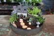 Faça você mesmo um mini jardim de suculentas